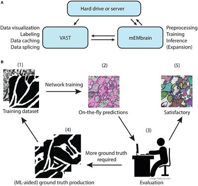 mEMbrain: an interactive deep learning MATLAB tool for connectomic segmentation on commodity desktops